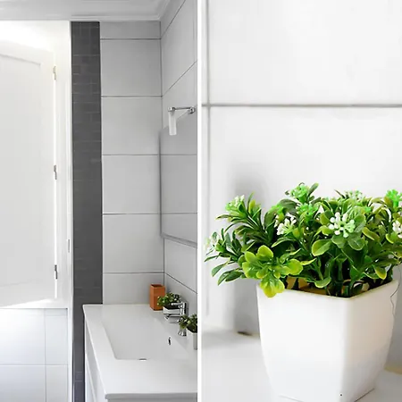 Intendente Cool Central Apartamento