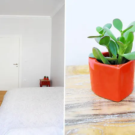 Intendente Cool Central Apartamento *