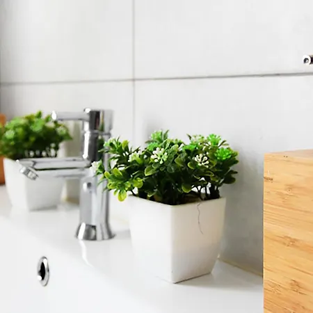 Intendente Cool Central Apartamento